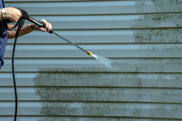 Best Garage Pressure Washing  in Affton, MO